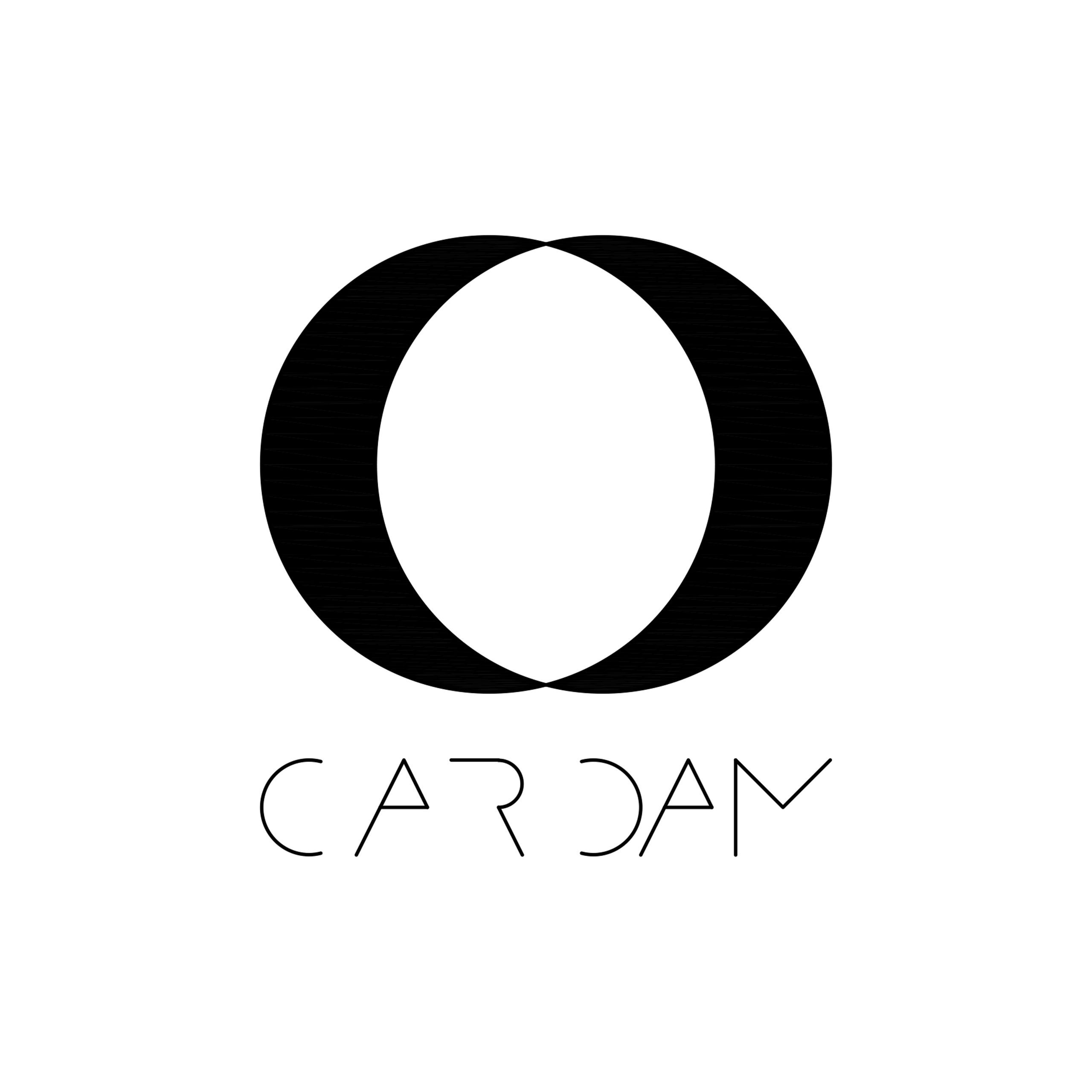 Logotipo corporativo de Cardam Inversiones Levante SL, empresa colaboradora en proyectos residenciales con Alfaro Arquitectos.